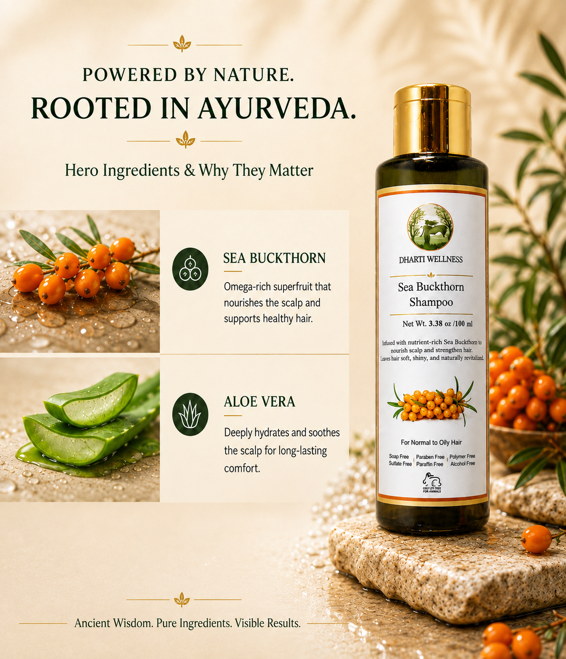 Dharti Wellness Sea Buckthorn Shampoo featuring hero ingredients Sea Buckthorn and Aloe Vera, highlighting their nourishing, hydrating, and scalp-soothing benefits, with the product displayed in a premium Ayurvedic setting.