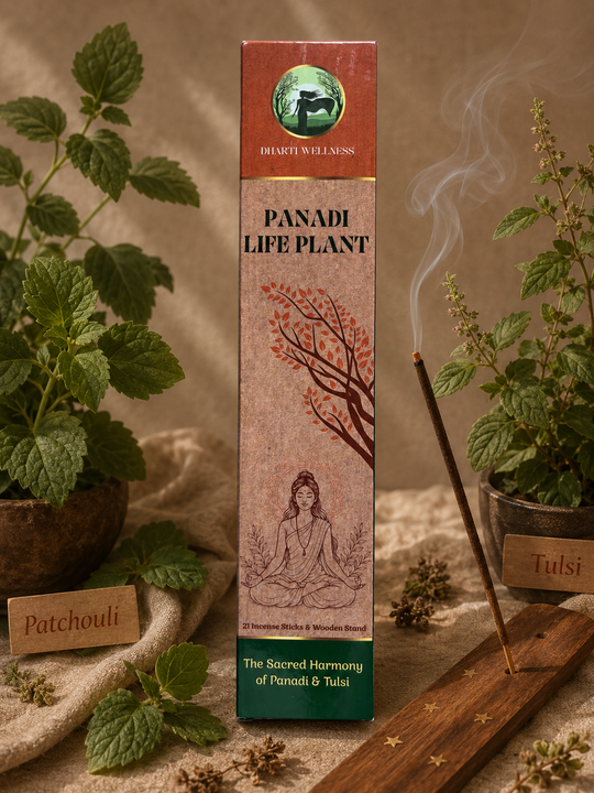 Patchouli Dhyana Organic Agarbatti | No Carbon | Mild Fragrance