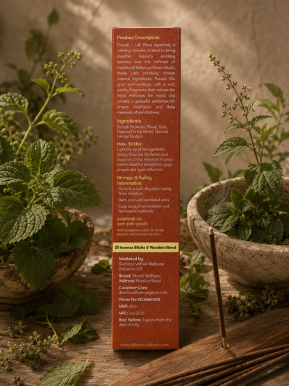 Patchouli Dhyana Organic Agarbatti | No Carbon | Mild Fragrance